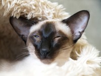 /album/gallery/p8153354-jpg/